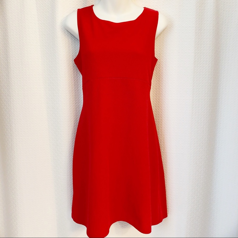No Boundaries Red Stretch Dress